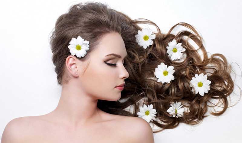 1464322 1920x1200 hairs