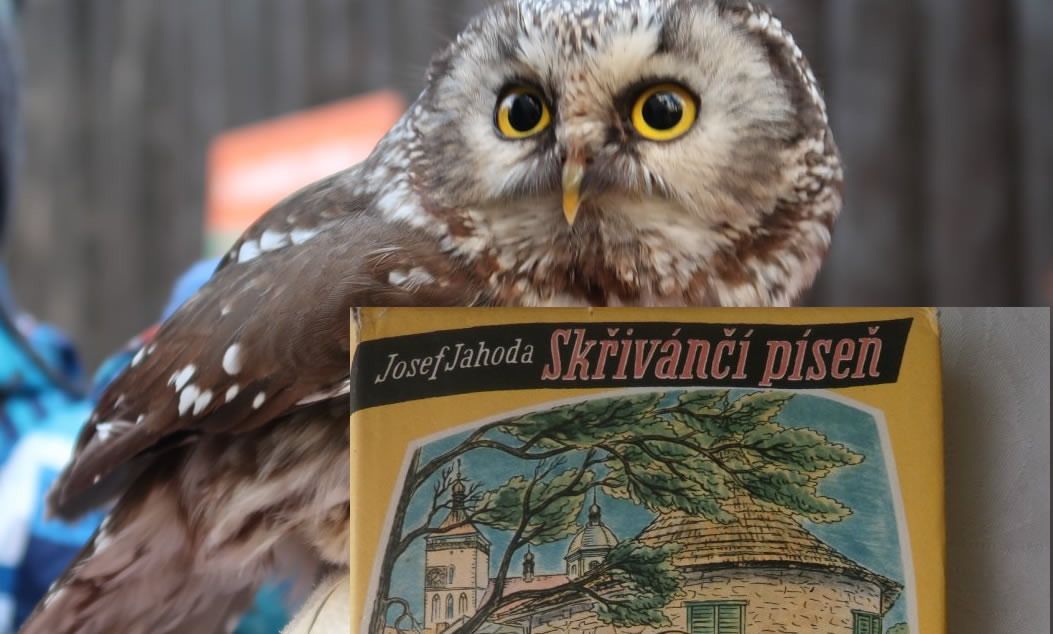 skrivanci pisen sovi houkani