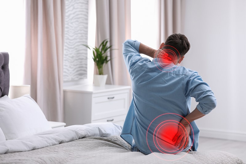 Man,Suffering,From,Back,Pain,After,Sleeping,On,Uncomfortable,Mattress Man,Suffering,From,Back,Pain,After,Sleeping,On,Uncomfortable,Mattress
