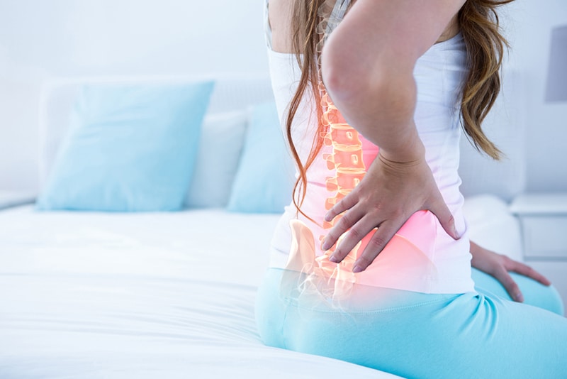 Digital,Composite,Of,Highlighted,Spine,Of,Woman,With,Back,Pain Digital,Composite,Of,Highlighted,Spine,Of,Woman,With,Back,Pain