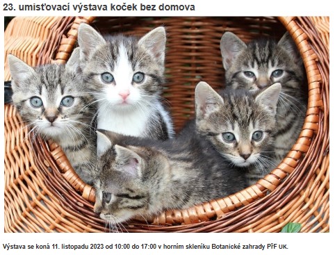 v&yacute;stava