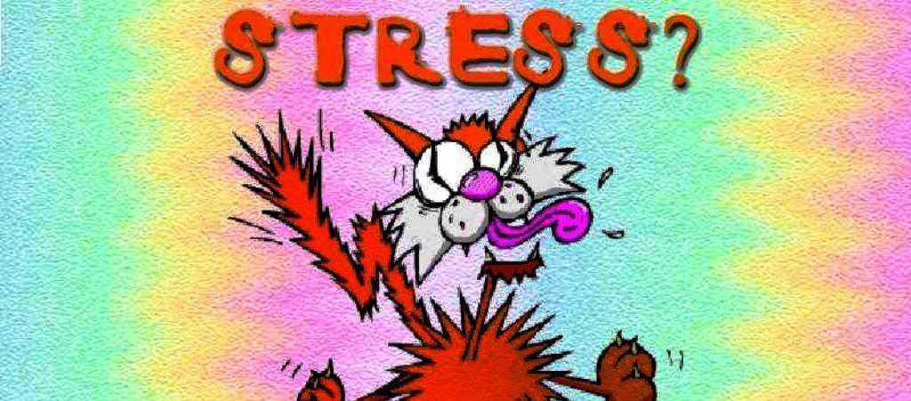 488696 1024x768 STRESS