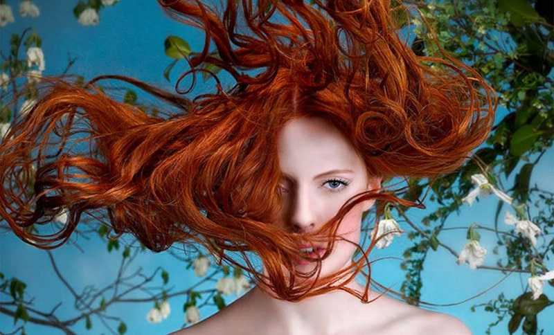 600289 1025x832 red head