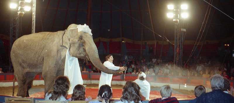 Cirkus_Scott_augusti_1983a