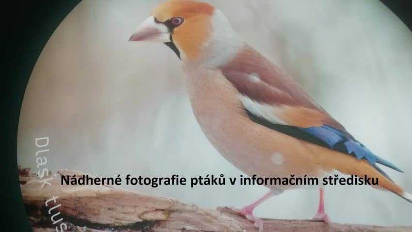 Dlask naučná tabule Dlask naučná tabule