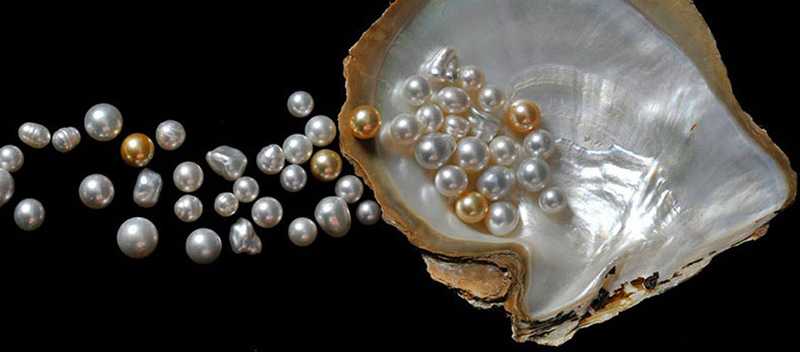 Pearl Jewellery