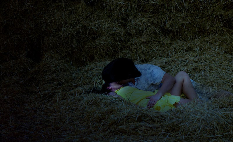 couple kissing hay 25945622