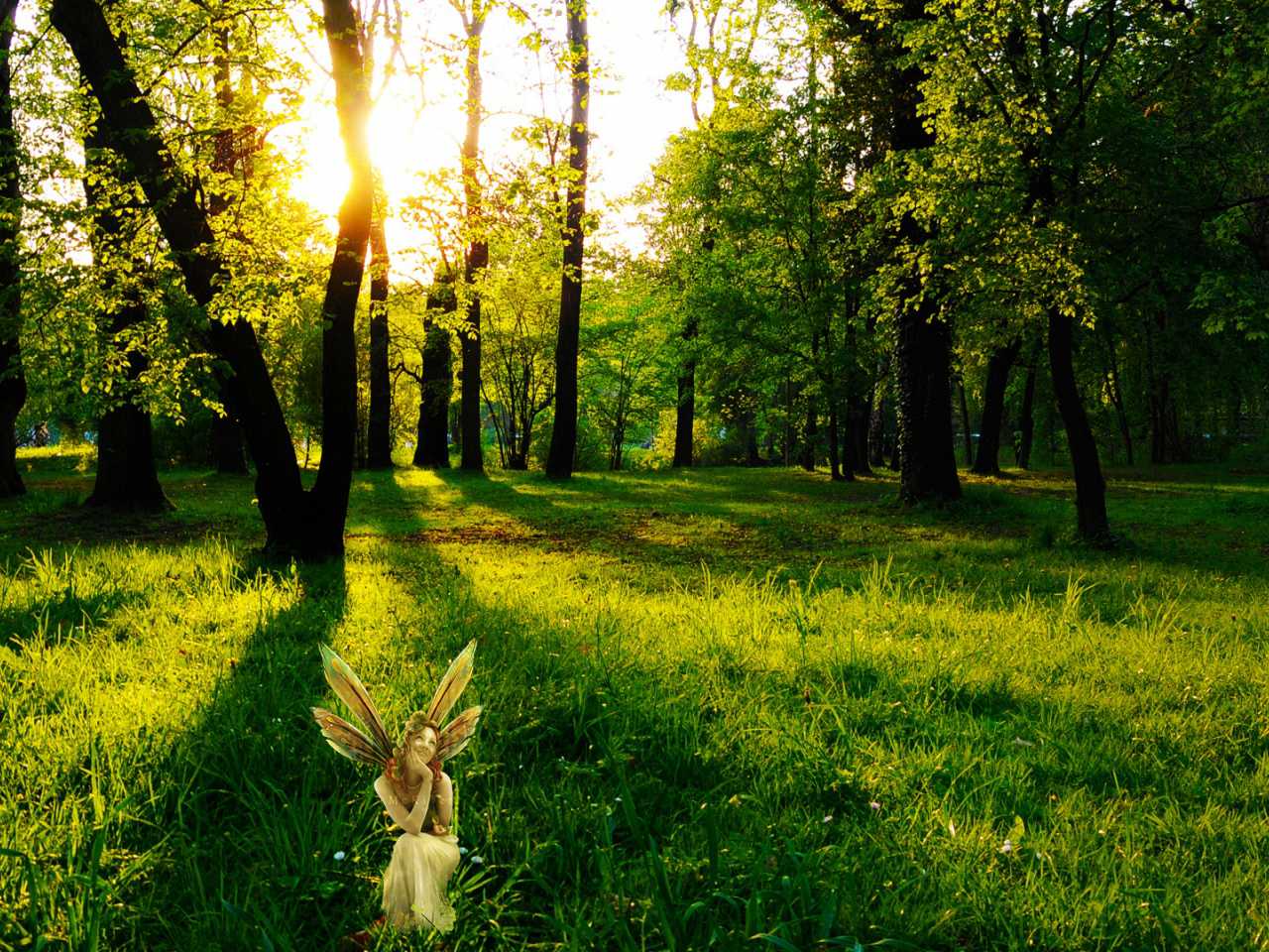 fairy fairy