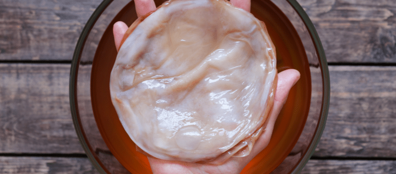 kombucha kombucha