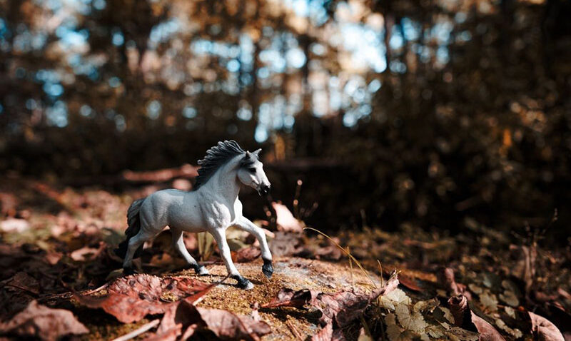 Horse,Fogure,In,Autumn,Forest