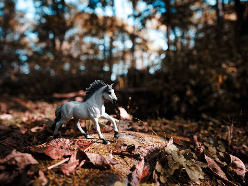 Horse,Fogure,In,Autumn,Forest